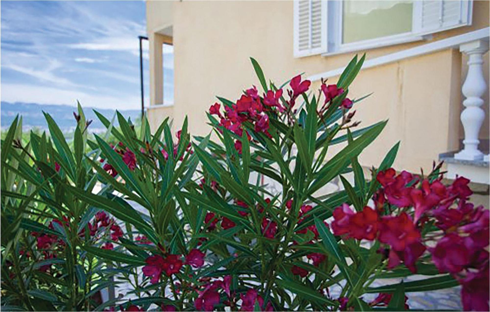 1 Bedroom Beautiful Apartment In Малинска Екстериор снимка